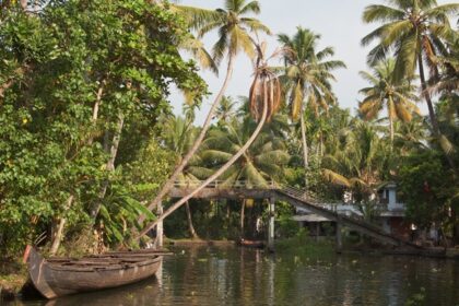 Kerala, along with its scenic natural landscapes, houses enormous backwaters and temples.