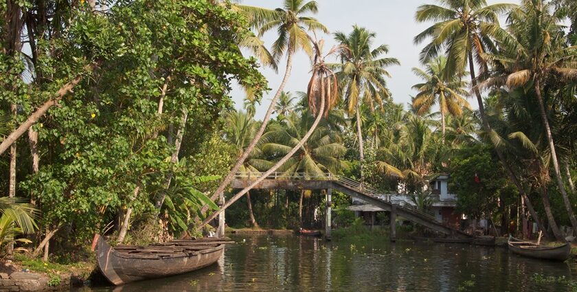 Kerala, along with its scenic natural landscapes, houses enormous backwaters and temples.