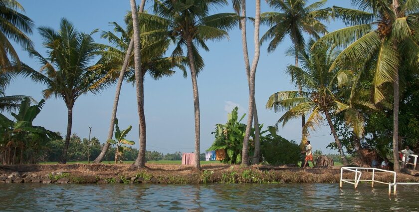 Natural landscape like palm trees and backwaters offer various places to visit in Kerala during June.