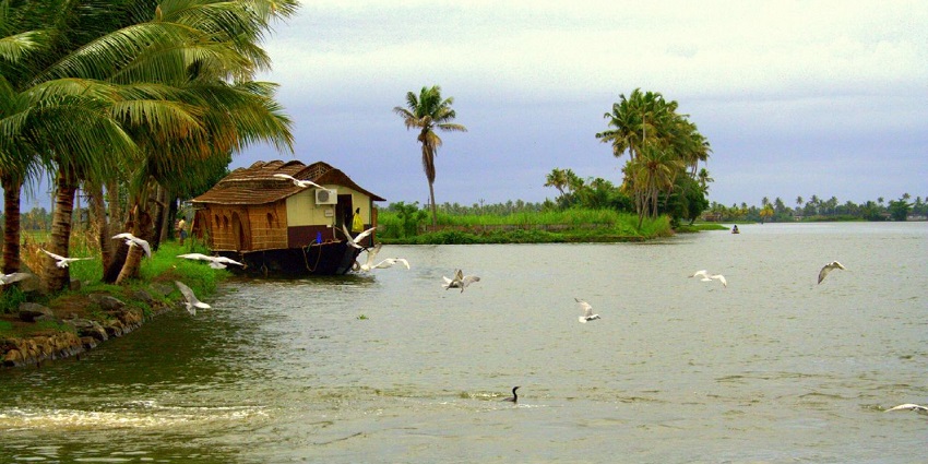 Still of Kerala backwaters and one of the perfect places for Scuba Diving in Kerala