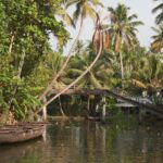 The scenic beauty makes the mind feel surreal with the picturesque backwaters around.