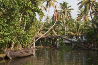 The scenic beauty makes the mind feel surreal with the picturesque backwaters around.