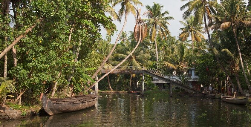 The scenic beauty makes the mind feel surreal with the picturesque backwaters around.