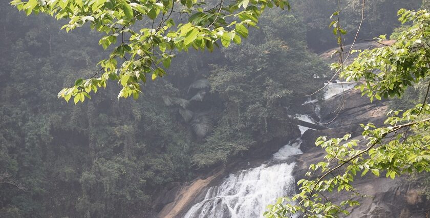 Majestic Thindillam waterfalls cascading down rocks surrounded by lush greenery in Kerala.