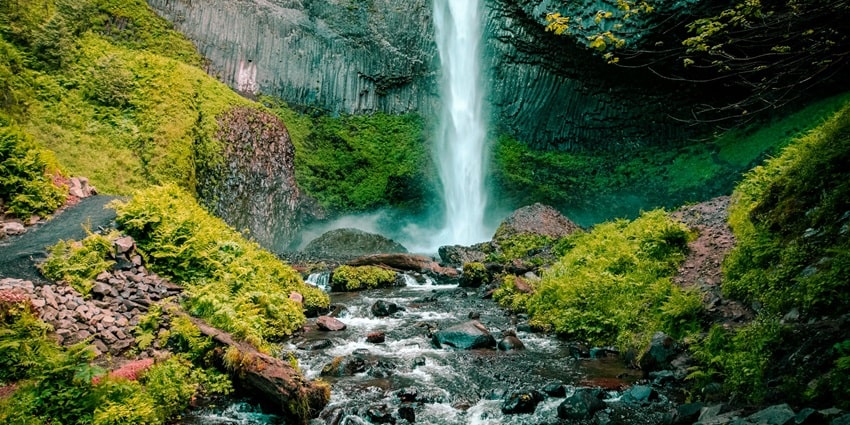 An enchanting view of a waterfall in Kerala, surrounded by lush greenery during the day.