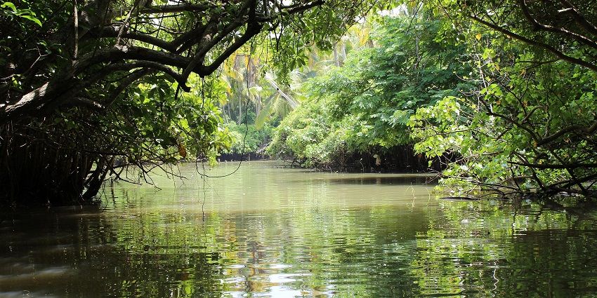 These waterfalls are located in tranquillity which enhances the aura of this tourist spot.