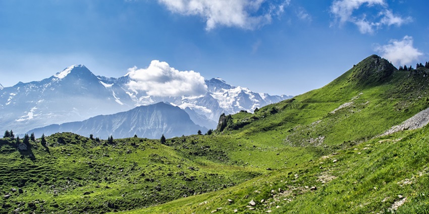 Have a gala time with your family while exploring the sprawling Kettle Valley in Kurseong.