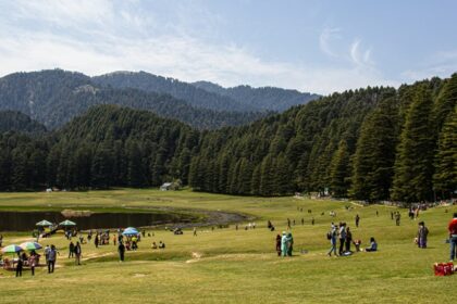 People on green grass fields during daytime in Khajjiar, enjoying their vacations.