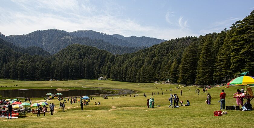 People on green grass fields during daytime in Khajjiar, enjoying their vacations.