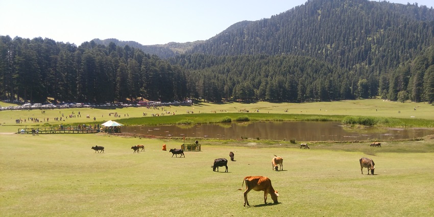 The lake and its surroundings have been sought-after locations for numerous Bollywood movies due to their breathtaking beauty.