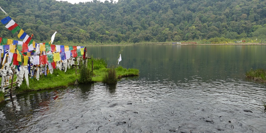 This wish-fulfilling lake is yet another beautiful place to visit near Kanchenjunga Falls.