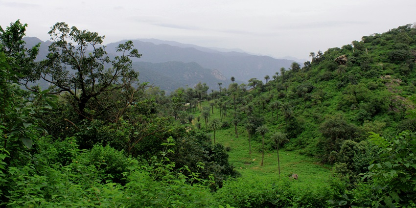 Image of lush green mountains - scenic hill stations to explore in Thrissur