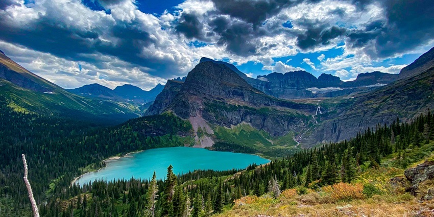 Kishtwar National Park is one of the beautiful national parks in Jammu and Kashmir.