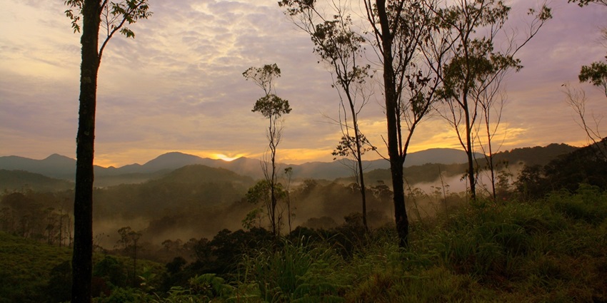 Kochu Pampa in pathanamthitta District, Kerala, India is 40 km from Kumily and 28 km from Vandiperiya