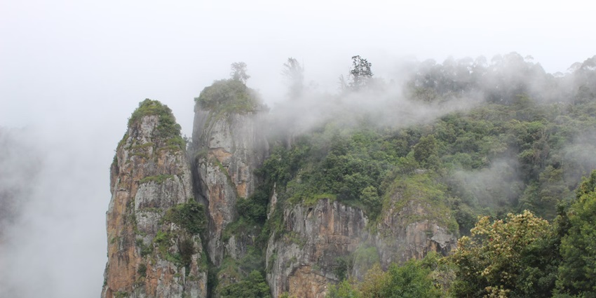 Kodaikanal is popular as the ‘Queen of Hill Stations’ due to its stunning beauty.