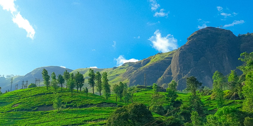 A scenic view of Kodikuthimala Viewpoint, a tourist hotspot near Attapadi Waterfalls.