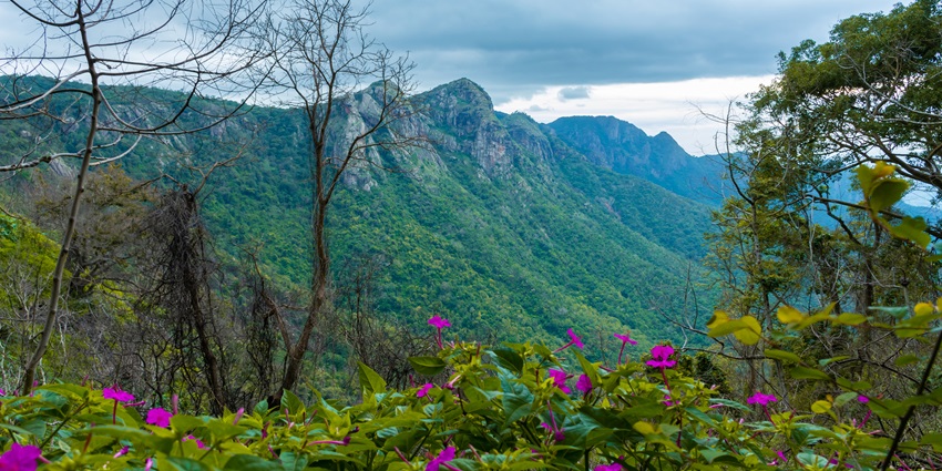Picturesque view of Kolli hills with clear blue sky and surrounded by lush green hills
