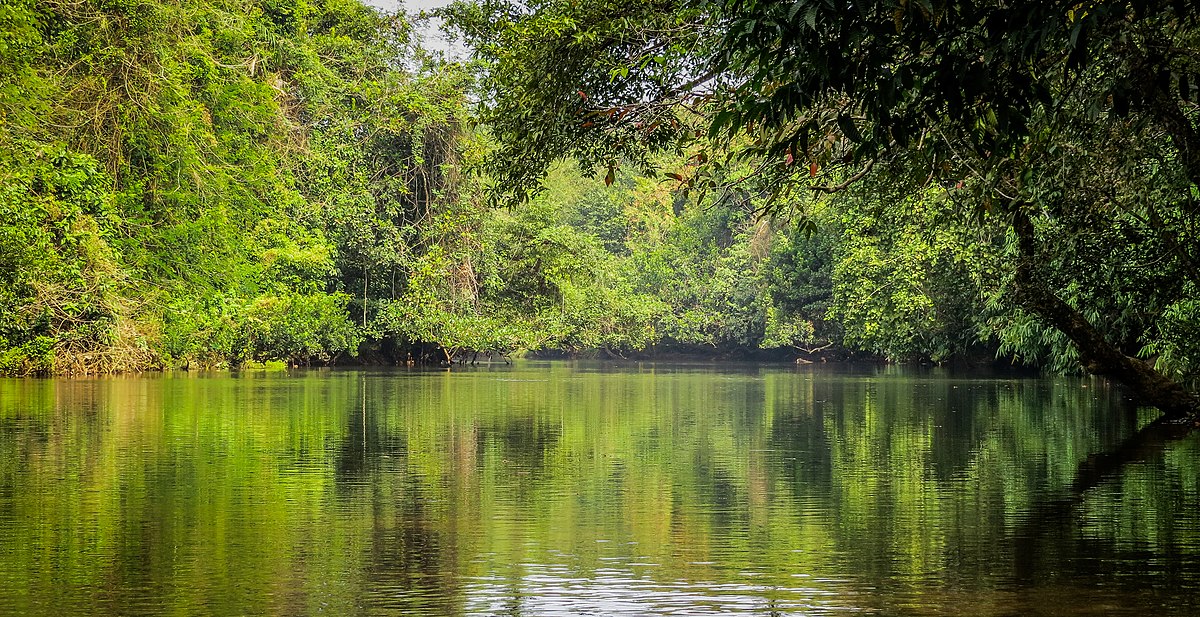 Scenic Lake surrounded by the forest one of the best places to visit in Pathanamthitta