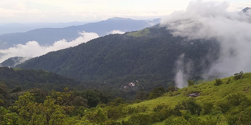 Kottancheri Hills are an amazing display of the rich biodiversity of the Western Ghats.
