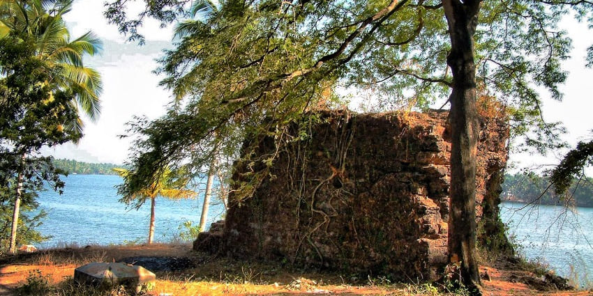 Ruins of Cranganore Fort in Kerala, surrounded by grass and shaded by tall trees