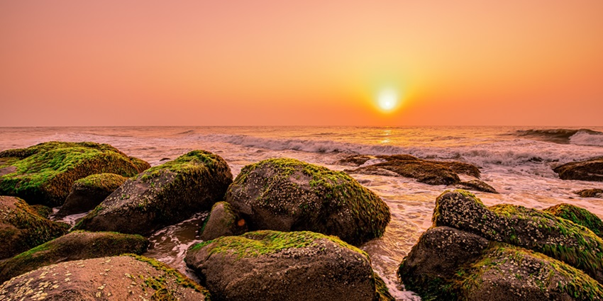 Kovalam Beach, with golden sand and serenity, should not be missed by tourists due to its spectacular beauty.