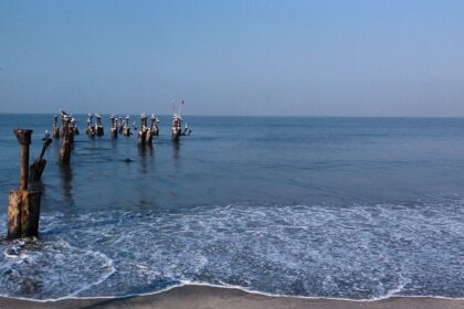 Kozhikode has several tranquil beaches which add on to the beauty, besides its hill stations.