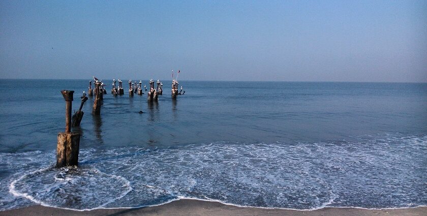 Kozhikode has several tranquil beaches which add on to the beauty, besides its hill stations.