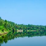 A stunning view of Kozhikode Beach surrounded by lush green trees and vibrant houses.