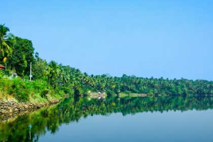 A stunning view of Kozhikode Beach surrounded by lush green trees and vibrant houses.