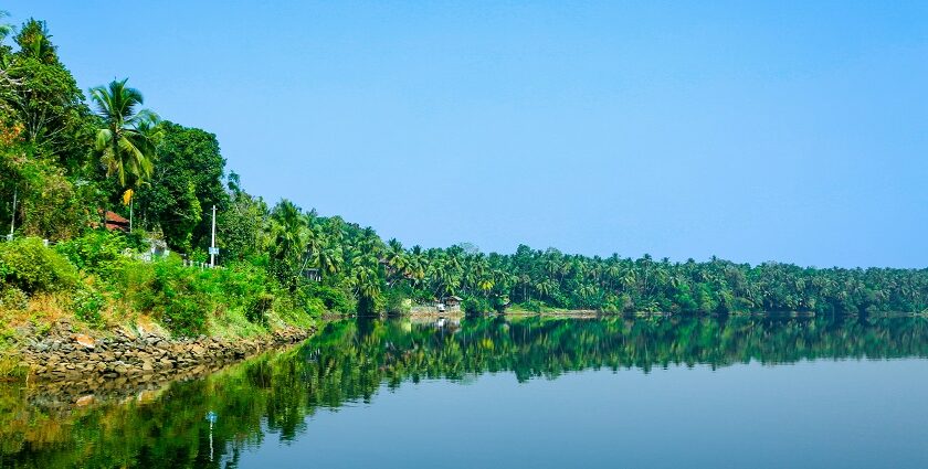 A stunning view of Kozhikode Beach surrounded by lush green trees and vibrant houses.