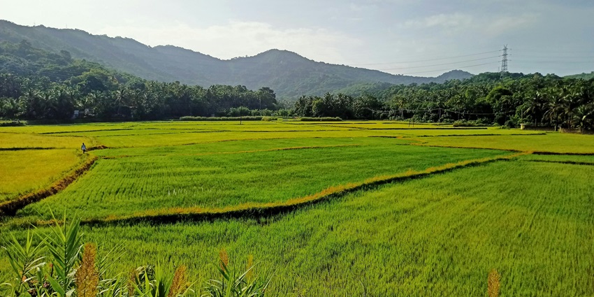 View of scenic hills and lush greenery from Kozhukkully View Point, a quiet nature escape.