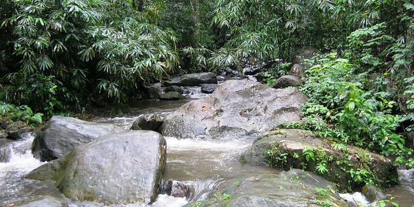 A still of waterbody amidst the beautiful jungle in Kerala - Pathanamthitta Waterfalls
