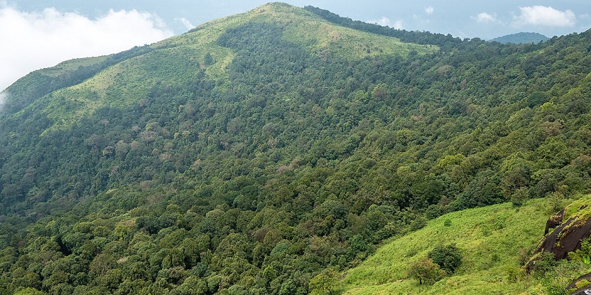 Fields of Kudremukh National Park- a park that offers fun activities and diverse wildlife