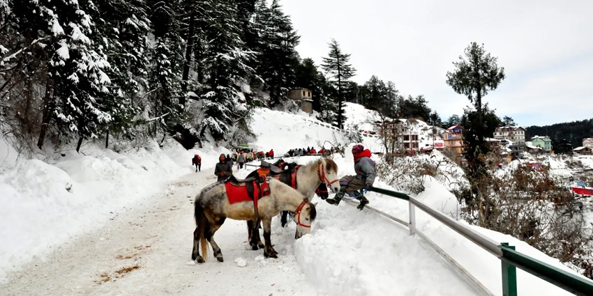 Snow-covered camping site in Kufri, one of the hill stations near Vaishno Devi