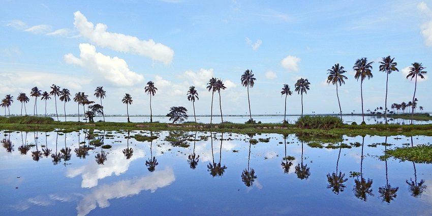 Soothe your eyes with these mesmerising views at the Vembanad Lake at Kumarakom, Kerala.