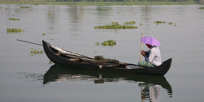 Backwater canoeing is one of the most popular things to do in Kumarakom for tourists.