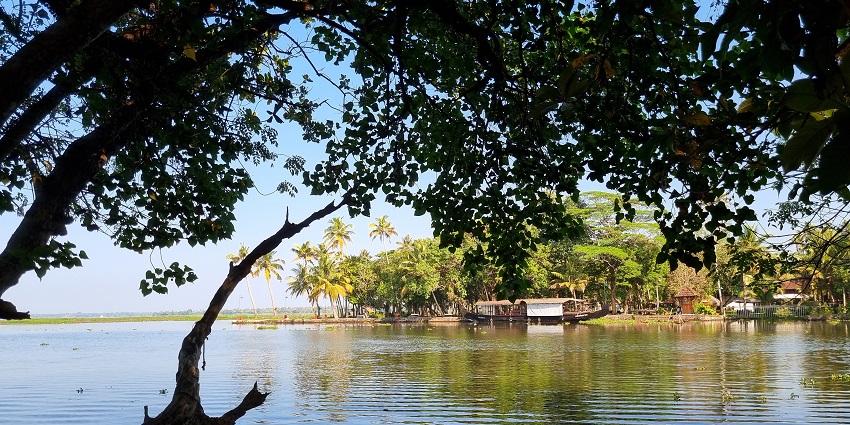 A splendid view from the Kumarakom Bird Sanctuary; one of the best places to visit near Alleppey.