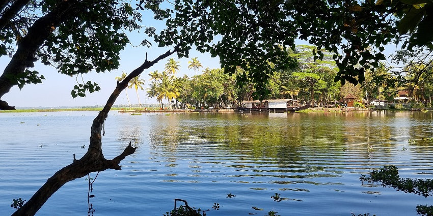 Witness the beautiful birds at the Kumarakom Bird Sanctuary, a tourist place in Kerala.