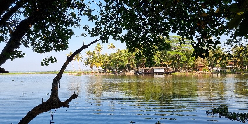 See the colorful birds at the Kumarakom Bird Sanctuary - places to visit in Kottayam.