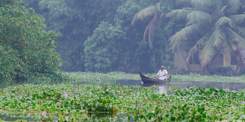 A picture of the scenic natural surroundings of Kumarakom Bird Sanctuary in Alleppey