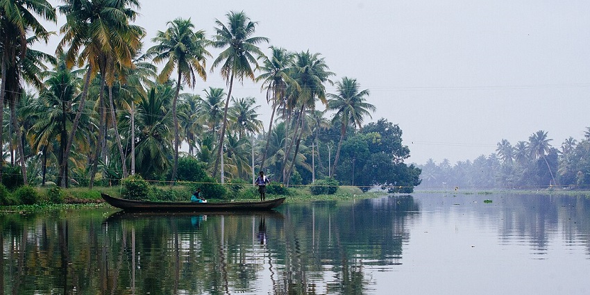 Kumarakom Bird Sanctuary is one of the best places to visit near Bay Island Museum.