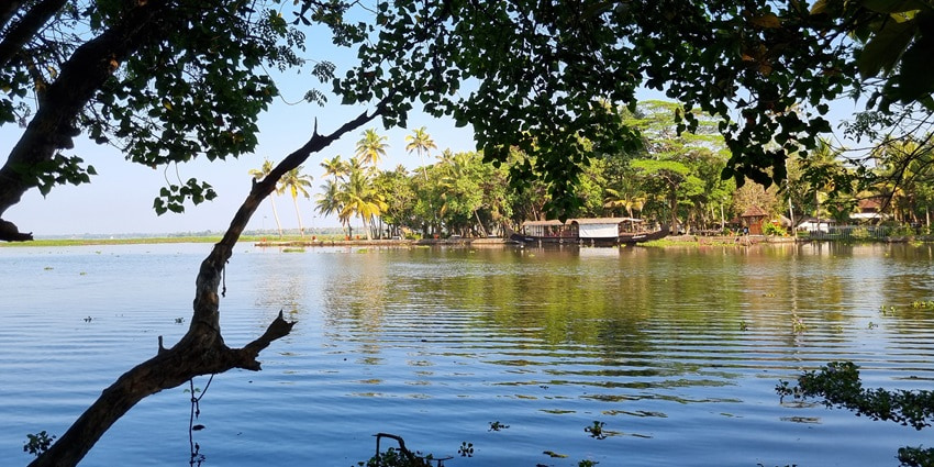 Kumarakom Bird Sanctuary is known for its variety of avian species in Kerala