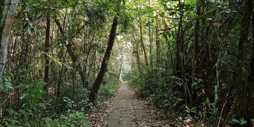 Kumarakom Sanctuary is one of the best places to enjoy some time in peace and serenity.