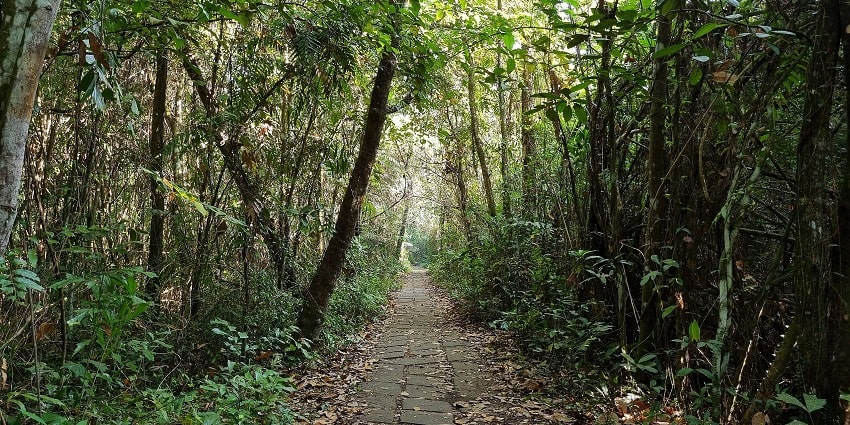 One of the best wildlife sanctuaries in Kerala, this has more than 100 species of birds.