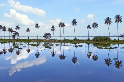 A stunning view of Vembanad Lake near Kumarakom encircled by palm trees on all sides.