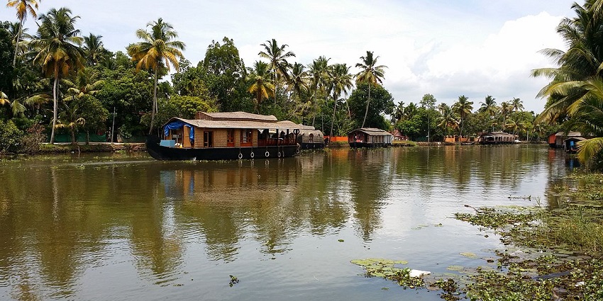 Visiting the fish sanctuary is one of the top things to do in Kumarakom for a perfect trip.