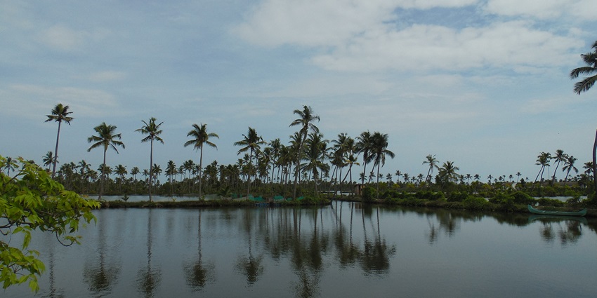 One of the best things to do in Kochi is to visit Kumbalangi Integrated Tourism Village.
