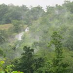 Kumbhavurutty Waterfalls is a breathtaking tourist destination in the suburbs of Kerala.