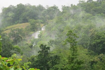 Kumbhavurutty Waterfalls is a breathtaking tourist destination in the suburbs of Kerala.