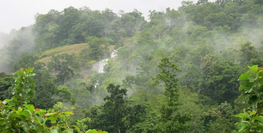 Kumbhavurutty Waterfalls is a breathtaking tourist destination in the suburbs of Kerala.